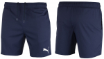 Vyri&scaron;ki &scaron;ortai Puma Swim Medium Lenght 1P 935088 01