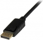 StarTech DP2DVIMM3BS