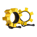 Grifo užraktas HMS ZG1500, 2 vnt., aukso spalvos