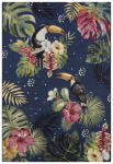 Hanse Home kilimas 105609 240x340 cm