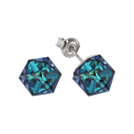 Sidabriniai auskarai moterims Diamond Sky DS02A867