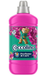 Coccolino skalbimo skystis, 1275 ml, Sultingas Coccolino Perfume & Care skalbimo skystis su žiedinio ažefiro ir pačiulijaus kvapu, 1275 ml