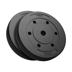 Diskiniai svarmenys, 2x15 kg
