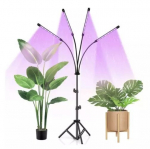 Garden Light 80LED