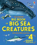 Big Book of Big Sea Creatures, Big Book of Big Sea Creatures