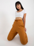 Laisvalaikio kelnės moterims 2016103346721, rudos