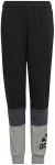 Adidas Kelnės Paaugliams U Cb Pants Black Grey HG6827 HG6827/164