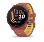 I&scaron;manusis laikrodis I&scaron;manusis laikrodis Garmin Forerunner 170 Music AMOLED GPS NFC