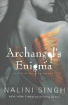 Archangel's Enigma: Book 8