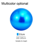 Other fitness products,Exercise Ball for Fitness, Stability, Balance & Gym by,blue