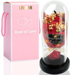 Amžina rožių puok&scaron;tė stikliniame kupole Rose of Love, raudona