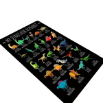 Dinozaurų Abėcėlės Kilimas, 60 cm x 90 cm / 23,62 colio x 35,43 colio
