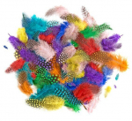 Plunksnos 4-7cm 10g ry&scaron;kios mix sp