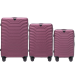 Sparnų kelionės rinkinys: 3 lagaminai PEAFOWL burgundy
