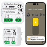 Mini vieno kanalo relė Matter potinkinis valdiklis jungiklis Homekit