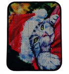 Katės kraiko kilimėlis Asir Nrszn0116, 45x60 cm, juodas/raudonas