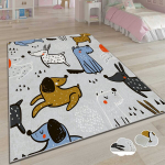 Asir kilimas Asr Crpt-6 100x140 cm