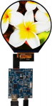 Vsdisplay 3.4" 800x800 ips mipi 330nit apvalus lcd ekranas ir mini 39 kontaktų valdiklio plok&scaron;tė micro usb maitinimo jungtis