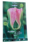 Tulpės Groenland Flora Elite