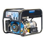 HYUNDAI PT3000-XT, 65118 benzininis elektros generatorius 3000 W, su elektriniu ir rankiniu starteriu