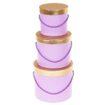 Gėlių dėžutė 3 vnt. violetinė ROZETTE