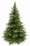 Dirbtinė kalėdinė eglutė kaukazo spruce, 280 cm, pe+pvc