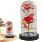 Amžinoji rožė po stikliniu gaubtu happy people andy