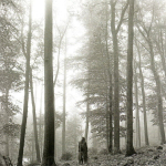 CD TAYLOR SWIFT "Folklore"