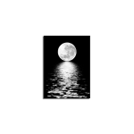 Reprodukcija Pilnatis