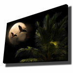 Reprodukcija Pauk&scaron;čiai mėnesienoje