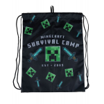 Astra Minecraft Survival Camp