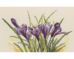 Siuvinėjimo kryželiu rinkinys, RTO, 25x15.5 cm