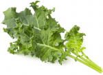 Salotos Kale Smart Garden Click & Grow, 3vnt