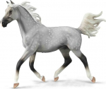 Collecta