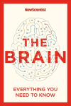 Brain: Everything You Need to Know