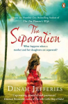 Separation: Discover the perfect escapist read from the No.1 Sunday Times bestselling author of The Tea Planter's Wife