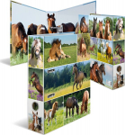 Segregator A4 su arkliais, 7 cm pločio