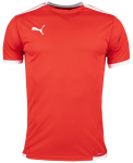 Mar&scaron;kinėliai vyrams Puma teamLiga Jersey 704917 01, raudoni