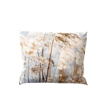 Valhalla pagalvės užvalkalas Vanilla, 4 vnt