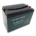 Elektrinio Motorolerio &scaron;vino rūg&scaron;ties baterija 12V, 45Ah