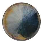 Ambition Madera lėk&scaron;tė, 27 cm