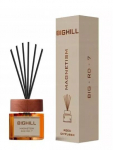 Namų kvapas su lazdelėmis Eyfel Bighill Magnetism, 120 ml