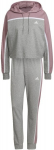 Adidas moteri&scaron;kas sportinis kostiumas W Subt Block Ts Grey HD9024