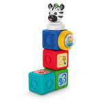Magnetinės kaladėlės Baby Einstein, 6 d.