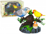 Dainuojančios judančios papūgėlės Lean Toys