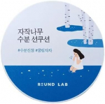 ROUND LAB Beržų sulčių drėkinamasis apsauginis nuo saulės kushonas SPF 50+ PA++++ 15 g