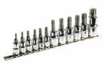12 vnt. Torx ant lizdo antgaliai 1/4", 3/8", 1/2" rinkinys