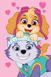 Jerry Fabrics vaiki&scaron;kas pledas Paw Patrol PP518, 100x150 cm