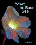 What the Bees See: A Honeybees Eye View of the World, What the Bees See: A Honeybees Eye View of the World