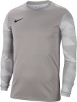 Nike vyri&scaron;ki mar&scaron;kinėliai Park IV GK CJ6066 052 CJ6066 052, pilki